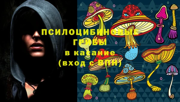 амф Нефтекумск
