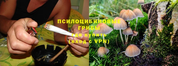 гидра Нефтегорск
