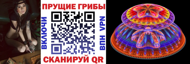 Псилоцибиновые грибы GOLDEN TEACHER  Балаково 